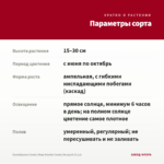 Калибрахоа Candy Shop Double Candy Bouquet (0,1л) — параметры сорта