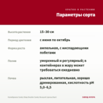 Калибрахоа Candy Shop Double Candy Bouquet (срезы/5шт) — параметры сорта