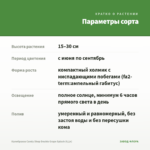 Калибрахоа Candy Shop Double Grape Splash (0,1л) — параметры сорта