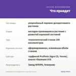 Калибрахоа Candy Shop Double Grape Splash (0,1л) — что приедет