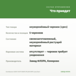 Калибрахоа CANDY SHOP GRAPE SPLASH IMPR (срез/5шт) — что приедет