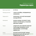 Калибрахоа Candy Shop Sweet Dreams (0,1л) — параметры сорта