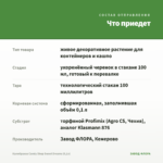 Калибрахоа Candy Shop Sweet Dreams (0,1л) — что приедет