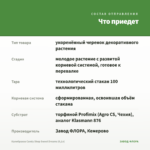 Калибрахоа Candy Shop Sweet Dreams (0,1л) — что приедет