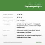 Калибрахоа Candy Shop Sweet Dreams (срезы/5шт) — параметры сорта