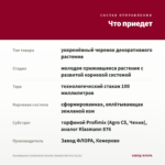 Калибрахоа Celebration Double Smokin Berries (0,1л) — что приедет