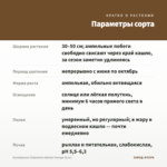 Калибрахоа Chameleon Atomic Orange (0,1л) — параметры сорта