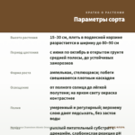 Калибрахоа Chameleon Atomic Orange (срез/5шт) — параметры сорта
