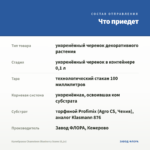 Калибрахоа Chameleon Blueberry Scone (0,1л) — что приедет
