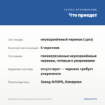 Калибрахоа Chameleon Blueberry Scone (срезы/5шт) — что приедет