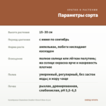 Калибрахоа Chameleon Double 4 Desert Rose (0,1л) — параметры сорта