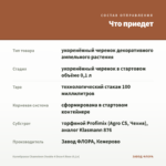 Калибрахоа Chameleon Double 4 Desert Rose (0,1л) — что приедет