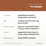 Калибрахоа Chameleon Double 4 Desert Rose (0,1л) — что приедет