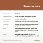 Калибрахоа Chameleon Double 4 Desert Rose (срез/5шт) — параметры сорта