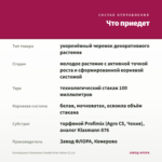 Калибрахоа Chameleon Double Pink Yellow (0,1л) — что приедет