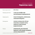 Калибрахоа Chameleon Double Pink Yellow (срезы/5шт) — параметры сорта