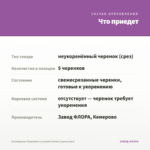 Калибрахоа Chameleon Lavender Sorbet (срезы/5шт) — что приедет