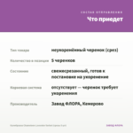 Калибрахоа Chameleon Lavender Sorbet (срезы 5 шт) — что приедет
