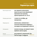 Калибрахоа CHAMELEON Lemon Frose (срез/5шт) — параметры сорта
