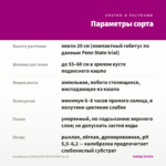 Калибрахоа CHAMELEON MILKY PINK (0,1л) — параметры сорта