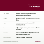 Калибрахоа Chameleon Pink Splash (0,1л.) — что приедет