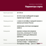 Калибрахоа Chameleon Pink Splash (0,1л.) — параметры сорта