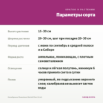 Калибрахоа Chameleon Starlet Pink (0,1л) — параметры сорта
