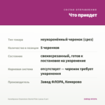 Калибрахоа Chameleon Starlet Pink (срезы 5 шт) — что приедет