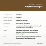 Калибрахоа CHAMELEON SUNSHINE BERRY (0,1л) — параметры сорта