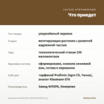 Калибрахоа CHAMELEON SUNSHINE BERRY (0,1л) — что приедет