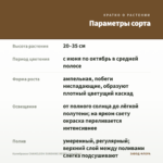 Калибрахоа CHAMELEON SUNSHINE BERRY (срез/5шт) — параметры сорта