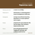 Калибрахоа CHAMELEON SUNSHINE BERRY (срез/5шт) — параметры сорта