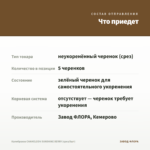 Калибрахоа CHAMELEON SUNSHINE BERRY (срез/5шт) — что приедет