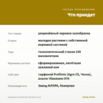 Калибрахоа CHAMELEON Tart Deco (0,1л) — что приедет