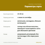 Калибрахоа CHAMELEON Tart Deco (0,1л) — параметры сорта