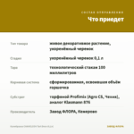 Калибрахоа CHAMELEON Tart Deco (0,1л) — что приедет