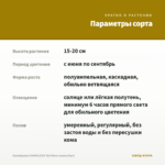 Калибрахоа CHAMELEON Tart Deco (срезы/5шт) — параметры сорта
