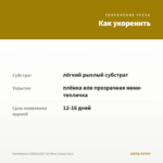 Калибрахоа CHAMELEON Tart Deco (срезы/5шт) — как укоренить черенок