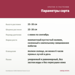 Калибрахоа Colibri Abstract Guava (0,1л) — параметры сорта