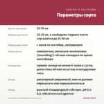 Калибрахоа Colibri Abstract Guava (0,1л) — параметры сорта