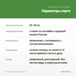 Калибрахоа Colibri Blizzard (0,1л) — параметры сорта