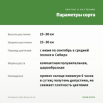 Калибрахоа Colibri Blizzard (0,1л) — параметры сорта