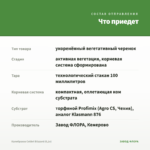 Калибрахоа Colibri Blizzard (0,1л) — что приедет