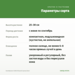 Калибрахоа Colibri Blizzard (срезы/5шт) — параметры сорта
