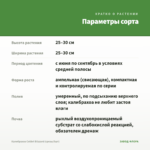 Калибрахоа Colibri Blizzard (срезы/5шт) — параметры сорта