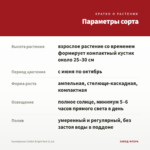 Калибрахоа Colibri Bright Red (0,1л) — параметры сорта