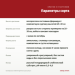 Калибрахоа Colibri Bright Red (срезы/5шт) — параметры сорта