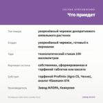 Калибрахоа Colibri Dark Lavender (0,1л) — что приедет