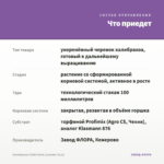 Калибрахоа Colibri Dark Lavender (0,1л) — что приедет
