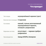 Калибрахоа Colibri Dark Lavender (срезы/5шт) — что приедет